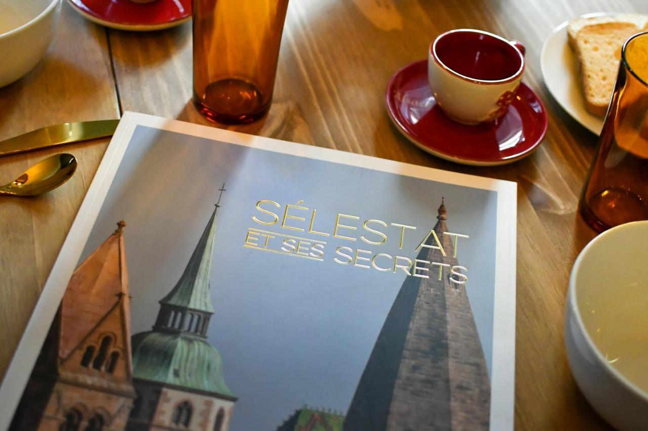 Au Fil Du Temps Apartment Selestat Ngoại thất bức ảnh
